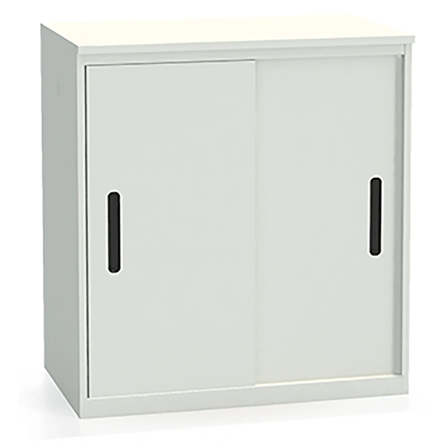 Шкаф-купе архивный ALS-8896